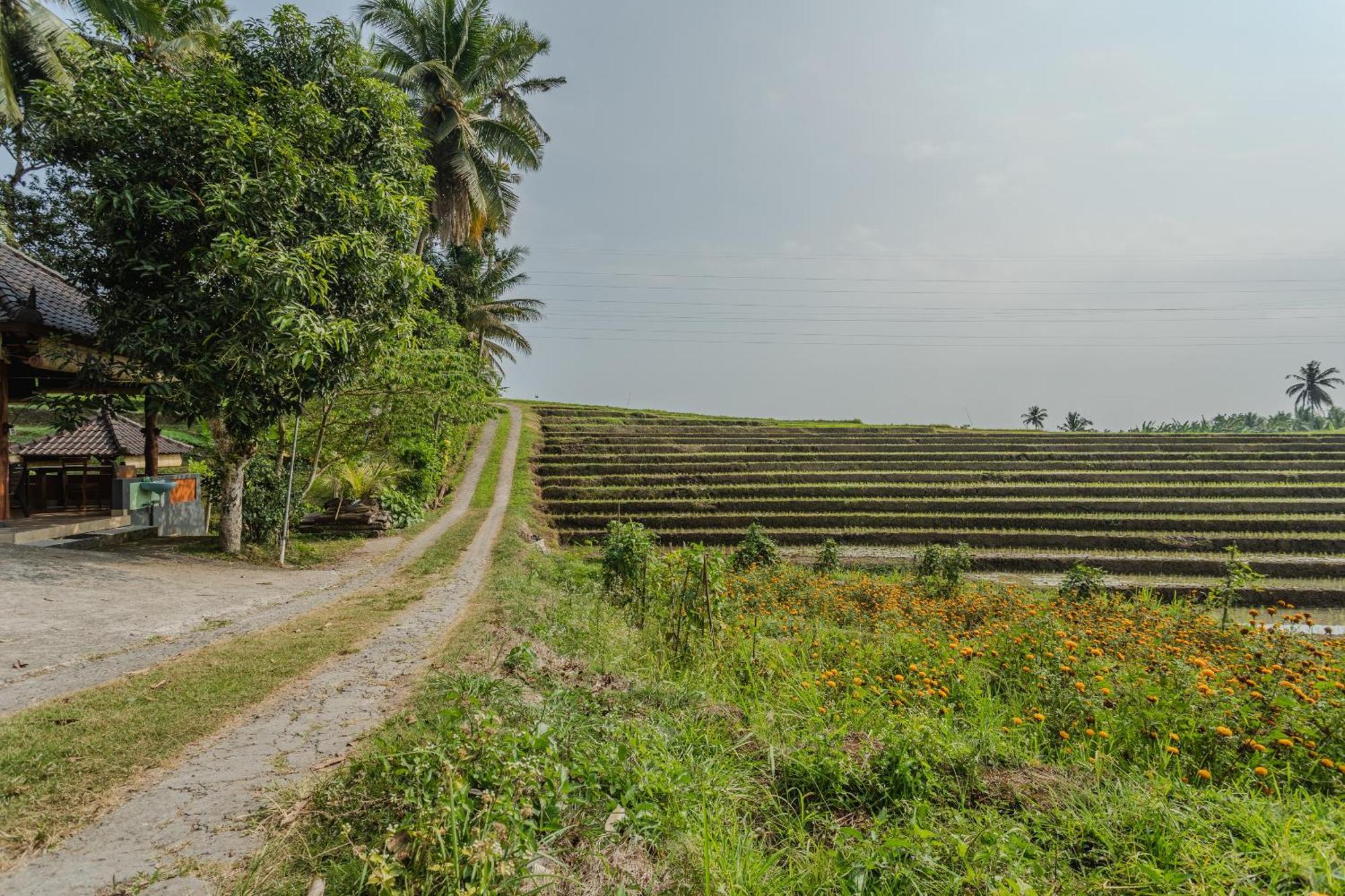 Pondok Hari Baik Balian Exterior foto