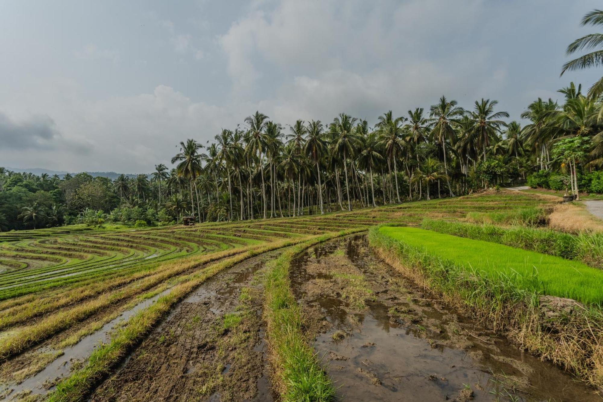 Pondok Hari Baik Balian Exterior foto